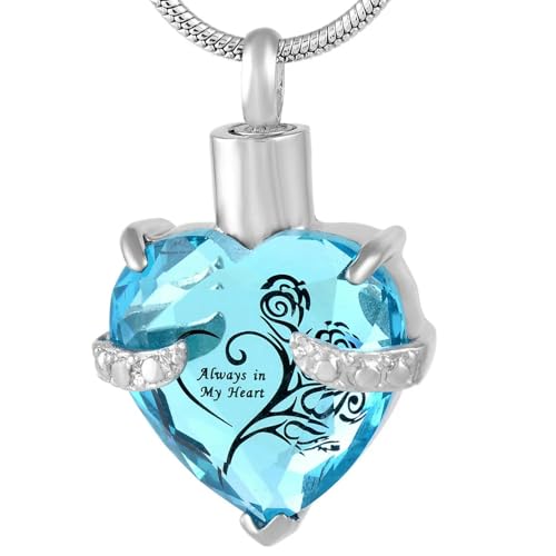 MKJFRLLSA Glas Herz Form Memorial Cremation Schmuck Edelstahl Andenken Urne Anhänger Halskette für Asche Halskette für Liebhaber von MKJFRLLSA