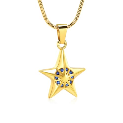 MKJFRLLSA Stern Inlay Klarer Kristall Einäscherung Schmuck für Asche Anhänger Memorial Anhänger Halskette für Männer Frauen Andenken Geschenk MKJFRLLSA Stern Inlay Klarer Kristall Einäscherung Schmuck für Asche Anhänger Memorial Anhänger Halskette für Männer Frauen Andenken Geschenk von MKJFRLLSA