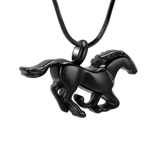 MKJFRLLSA Urnenkette für die Asche eines geliebten Menschen Beerdigung Einäscherung Schmuck für Asche Gedenkanhänger für Frauen Männer von MKJFRLLSA