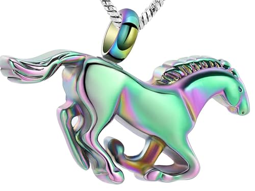 MKJFRLLSA Urnenkette für die Asche eines geliebten Menschen Beerdigung Einäscherung Schmuck für Asche Gedenkanhänger für Frauen Männer von MKJFRLLSA