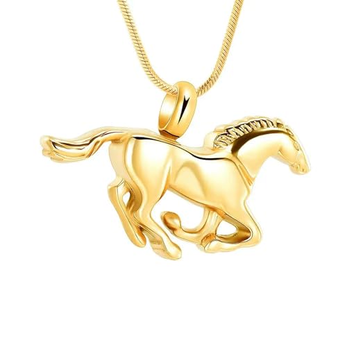 MKJFRLLSA Urnenkette für die Asche eines geliebten Menschen Beerdigung Einäscherung Schmuck für Asche Gedenkanhänger für Frauen Männer von MKJFRLLSA