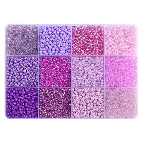 MLWSKERTY 12 Gitter Lose Perlensatz 12 Fach Perlen Set Bastelmittelverbrauchs Perlenschmuck Herstellung Perlen Set Acryl Textur von MLWSKERTY