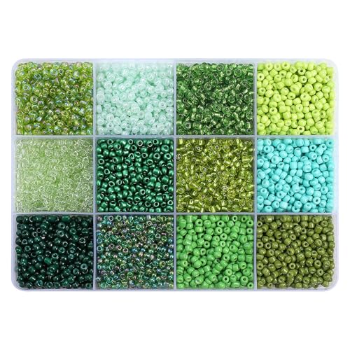 MLWSKERTY 12 Gitter Lose Perlensatz 12 Fach Perlen Set Bastelmittelverbrauchs Perlenschmuck Herstellung Perlen Set Acryl Textur von MLWSKERTY