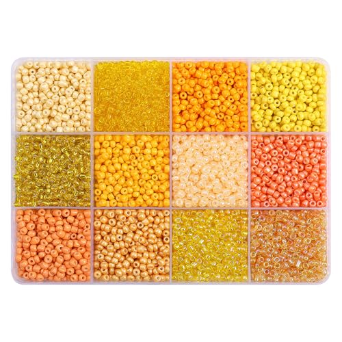 MLWSKERTY 12 Gitter Lose Perlensatz 12 Fach Perlen Set Bastelmittelverbrauchs Perlenschmuck Herstellung Perlen Set Acryl Textur von MLWSKERTY