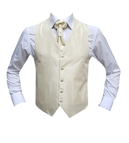 MMUGA Hochzeitwesten Set mit Plastron Berlin Creme 60 von MMUGA