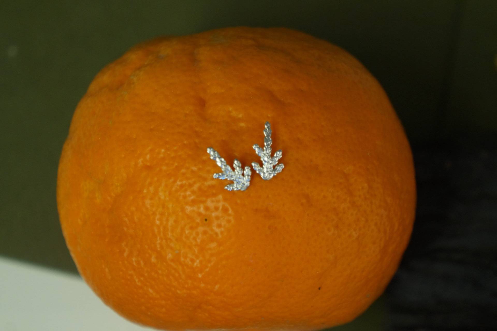 Zypressen-Blätter Kleine Ohrstecker Aus Sterlingsilber | Hypoallergen von MNJRealFlowerJewelry