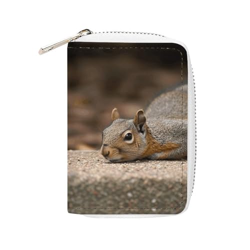 MNVTSKOP Kreditkartenetui aus weichem Leder, Kreditkartenetui, Eichhörnchen, einfach liegend, Visitenkartenetui, Geldbörse mit 20 Kartenfächern, Ausweishülle, Organizer mit Reißverschluss, Geldbörse von MNVTSKOP