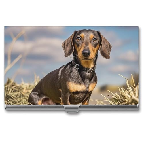 MNVTSKOP Visitenkartenhalter aus Metall, schlankes Visitenkartenetui, Geldbörse, Namenskartenhalter, Dackel, Hund, professionelle Geschäftskarten, Organizer, Kredit-Träger für Männer und Frauen von MNVTSKOP