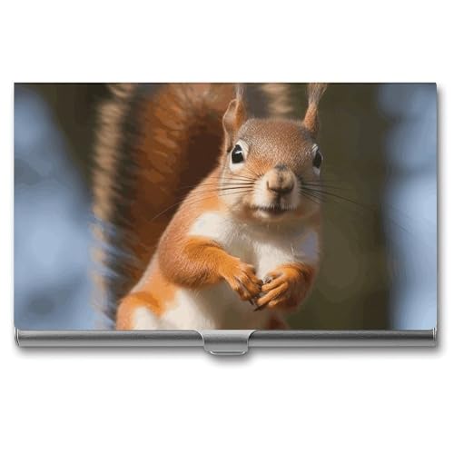 MNVTSKOP Visitenkartenhalter aus Metall, schlankes Visitenkartenetui, Geldbörse, Namenskartenhalter, Eichhörnchen, lustiges Tier, professionelle Geschäftskarten, Organizer, Kredit-Träger für Männer von MNVTSKOP