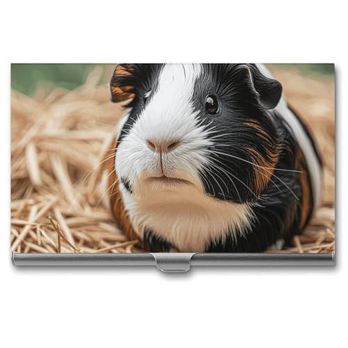 MNVTSKOP Visitenkartenhalter aus Metall, schlankes Visitenkartenetui, Geldbörse, Namenskartenhalter, niedliches Meerschweinchen, professioneller Geschäftskarten, Organizer, Kredit-Träger für Männer von MNVTSKOP