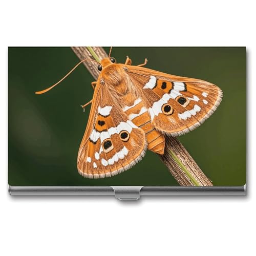 MNVTSKOP Visitenkartenhalter aus Metall, schlankes Visitenkartenetui, Geldbörse, Namenskartenhalter, schöne Motte, professionelle Geschäftskarten, Organizer, Kredit-Träger für Männer und Frauen von MNVTSKOP