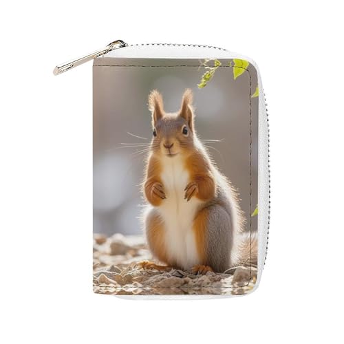 MNVTSKOP Weiches Leder Kreditkartenetui Bankkartenetui Eichhörnchen Lustiges Tier Visitenkartenetui Geldbörse mit 20 Kartenfächern Ausweishülle Organizer Reißverschluss Geldbörse für Damen Herren von MNVTSKOP
