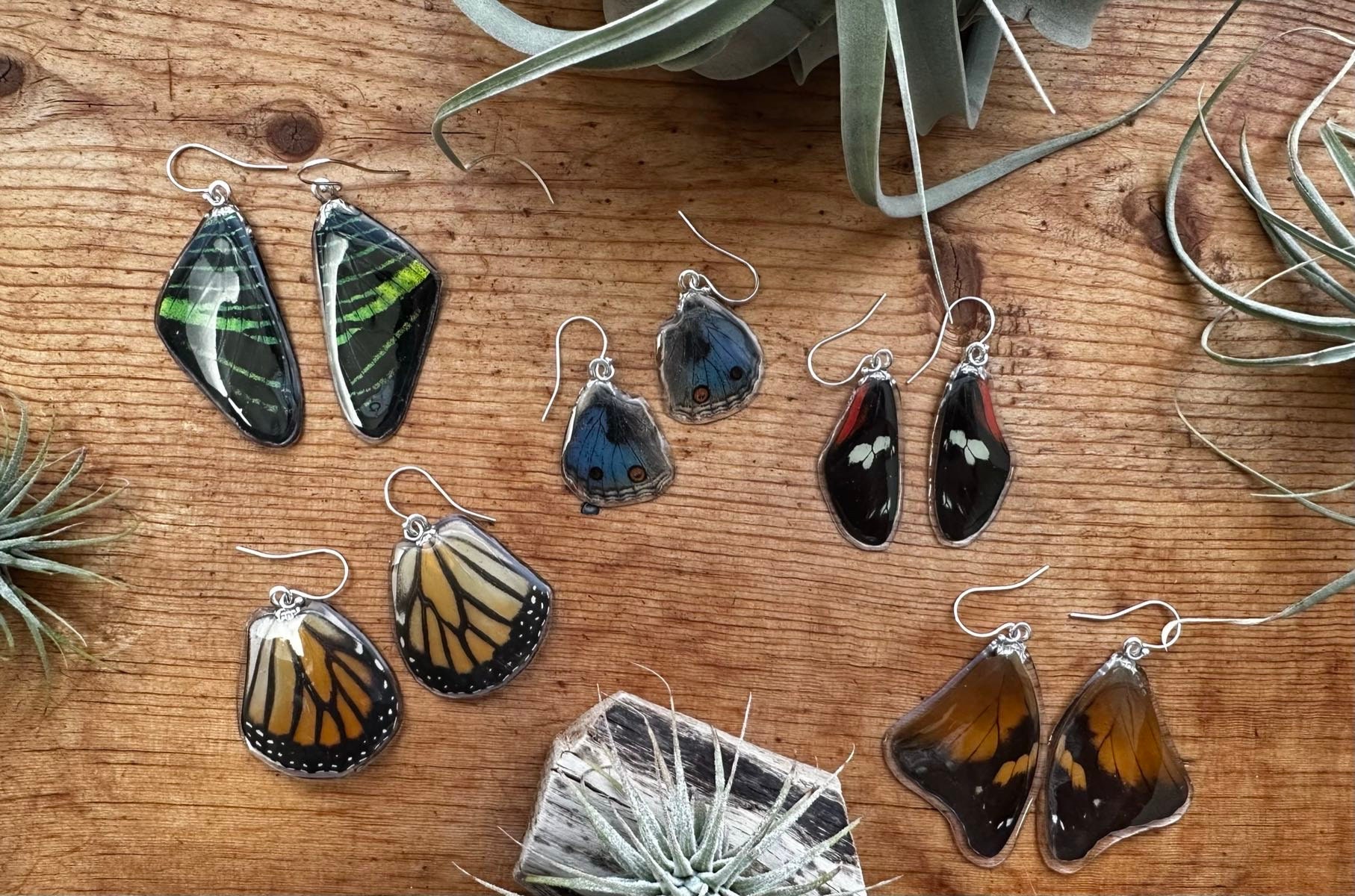 Echte Schmetterlings Flügel Ohrringe Mit Harz Beschichtet Sterling Silber Nachhaltig Bezogen Echte Schmetterlings Flügel Ohrringe Mit Harz Beschichtet Sterling Silber Nachhaltig Bezogen von MOMOchari