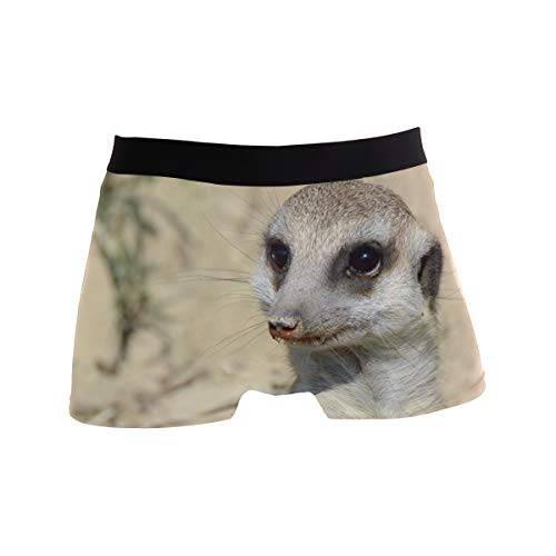 MONTOJ Animal Erdmännchen-Boxershorts für Herren, sportlich inspiriert, Stretch Gr. L, 1 von MONTOJ