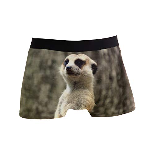 MONTOJ Animal Vigilant Erdmännchen Herren Boxershorts Stretch Trunks Gr. L, 1 von MONTOJ