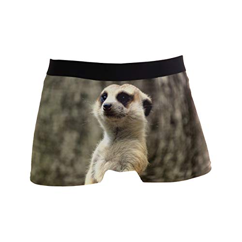 MONTOJ Animal Vigilant Erdmännchen Herren Boxershorts Stretch Trunks Gr. M, 1 MONTOJ Animal Vigilant Erdmännchen Herren Boxershorts Stretch Trunks Gr. M, 1 von MONTOJ