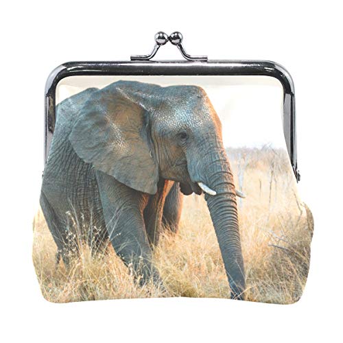 MONTOJ Starker afrikanischer Elefant Kinder Kleingeldbörse Frauen Geldbörse Münzetui, Mehrfarbig/Meereswellen (Ocean Tides), Einheitsgröße von MONTOJ