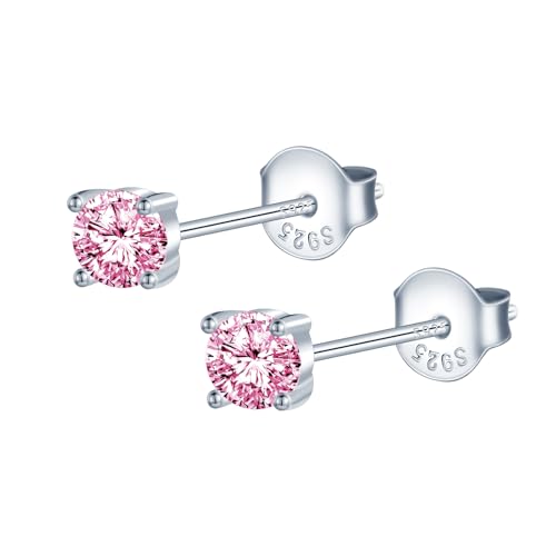 MOOFUN 4MM Zirkonia Ohrstecker Rosa Damen Ohrringe Stecker 925 Silber Ohrring Erstohrstecker Ohrschmuck für Mama Freundin Mädchen Oma Schwester Frauen Geschenk Geburtstagsgeschenk von MOOFUN