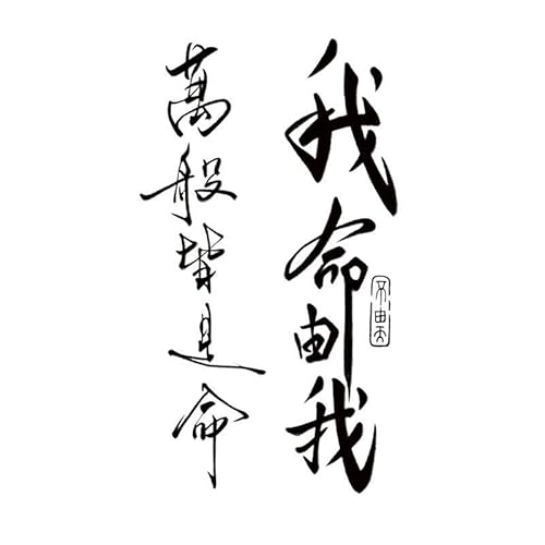 5 pcs Mein Schicksal Ist Mein Wasserfester Und Langlebiger Kräutersaft-Tattoo-Aufkleber Für Den Arm Von Männern Und Frauen Mit Traditionellen Chinesischen Schriftzeichen von MOQNISE