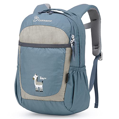 MOUNTAINTOP Kinderrucksack mit Brustgurt Kindergartenrucksack Mädchen Jungen Rucksack Mini Schultaschen für 3-6 Jährige Kinder im Kindergarten (Blau) von MOUNTAINTOP