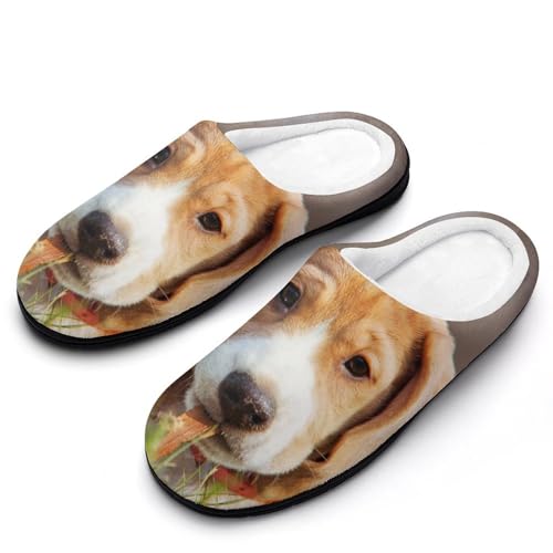 MQPYWLH Brauner Welpe Hausschuhe Damen Warme Kunstwolle Memory Foam Slippers Rutschfeste Pantoffeln von MQPYWLH