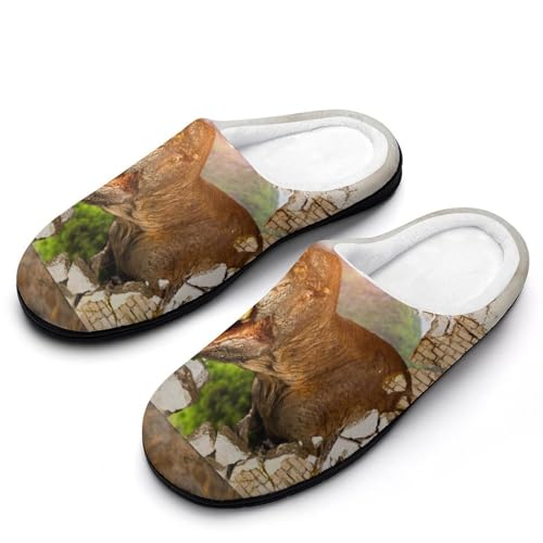 MQPYWLH Dinosaurier Hausschuhe Damen Warme Kunstwolle Memory Foam Slippers Rutschfeste Pantoffeln von MQPYWLH