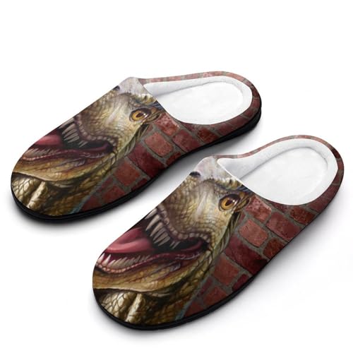 MQPYWLH Dinosaurier Hausschuhe Damen Warme Kunstwolle Memory Foam Slippers Rutschfeste Pantoffeln von MQPYWLH