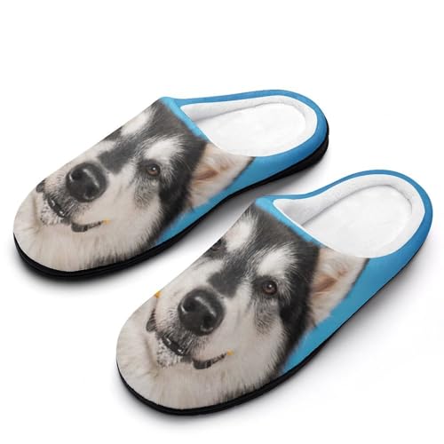 MQPYWLH Husky Hausschuhe Damen Warme Kunstwolle Memory Foam Slippers Rutschfeste Pantoffeln MQPYWLH Husky Hausschuhe Damen Warme Kunstwolle Memory Foam Slippers Rutschfeste Pantoffeln von MQPYWLH