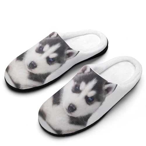 MQPYWLH Süßer Husky Hausschuhe Damen Warme Kunstwolle Memory Foam Slippers Rutschfeste Pantoffeln von MQPYWLH