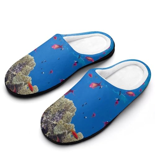 MQPYWLH Unterwasserfische Hausschuhe Damen Warme Kunstwolle Memory Foam Slippers Rutschfeste Pantoffeln MQPYWLH Unterwasserfische Hausschuhe Damen Warme Kunstwolle Memory Foam Slippers Rutschfeste Pantoffeln von MQPYWLH