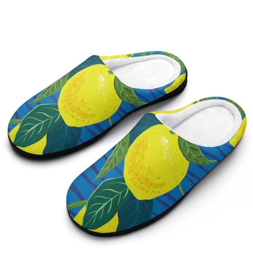 MQPYWLH Zitronestreifen Hausschuhe Damen Warme Kunstwolle Memory Foam Slippers Rutschfeste Pantoffeln von MQPYWLH