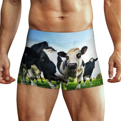 MQRBFLM Wiese Kuh Herren Boxershorts Trunk Shorts Boxer Atmungsaktiv Unterwäsche Unterhosen von MQRBFLM