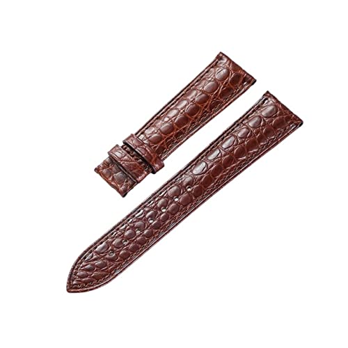 MSEURO Alligator Uhrengurt echte Leder -Uhren -Bänder for Männer for Frauen Uhr Accessoires 12-24 mm (nicht inklusive Schnalle) (Color : A, Size : 13mm) von MSEURO
