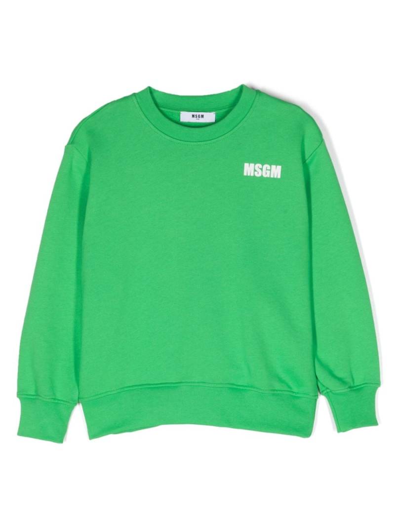 MSGM Kids Sweatshirt mit Logo-Print - Grau von MSGM Kids