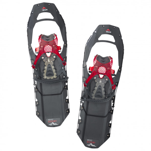 MSR - Revo Ascent - Schneeschuhe Gr 56 cm grau von MSR