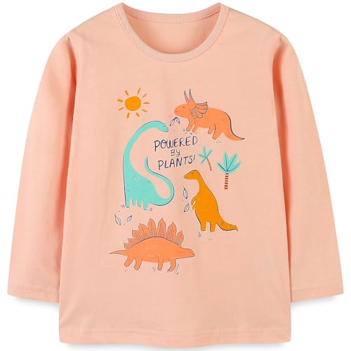 Kinder Mädchen Langarmshirt Baumwolle Einhorn Weiche Pullover Langarm Shirt Oberteile Tops 3 Jahre von MUJOQE