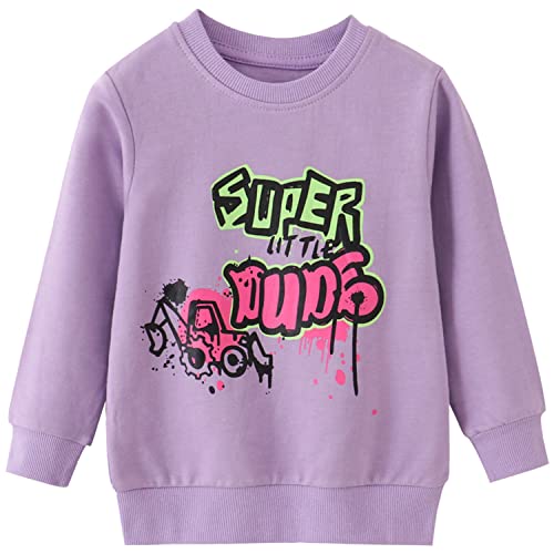 MUJOQE Mädchen Sweatshirt für Kinder Baumwolle Langarm Pullover Warme Langarmshirt Tops 2 Jahre 92 von MUJOQE