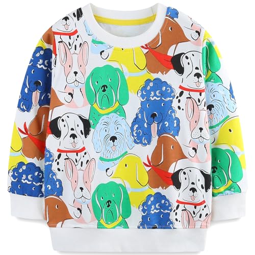 MUJOQE Sweatshirts Jungen Langarm Pullover Kinder Baumwolle Frühling Herbst Winter Warm Tops 2 Jahre von MUJOQE
