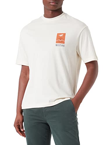MUSTANG Herren Aidan C Print T-Shirt, Birch 2040, XXL von MUSTANG