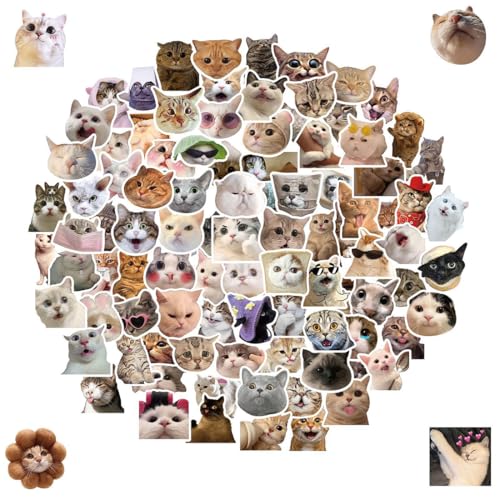 100 Stück Lustiges Katzen Aufkleber Set, Funny Meme Sticker Set, Meme Stickers for Car, süße Katzen Aufkleber, wasserfeste Vinyl Aufkleber ästhetische Aufkleber Wasserflaschen Sammelalbum Telefon von MUVONZI