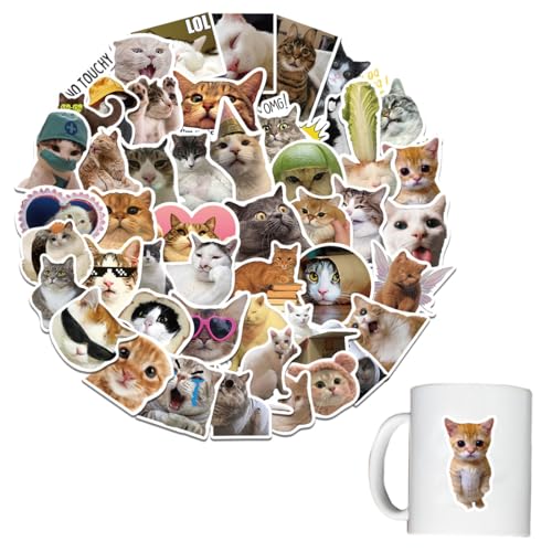 50 Stück Lustiges Katzen Aufkleber Set, Funny Meme Sticker Set, Meme Stickers for Car, süße Katzen Aufkleber, wasserfeste Vinyl Aufkleber ästhetische Aufkleber Wasserflaschen Sammelalbum Telefon von MUVONZI