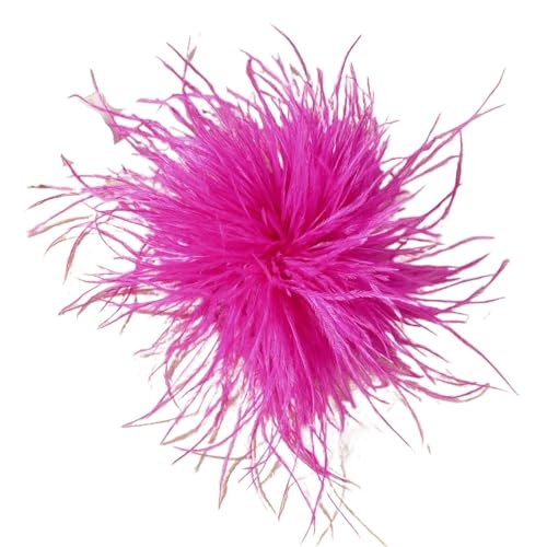 15CM Multicolor Feder Große Brosche for Frauen Vintage Trendy Handgemachte Revers Pins Hochzeit Partei Schmuck(Color 01) von MZPOZB