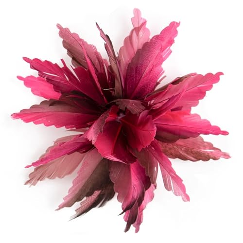 Bunte Federbrosche Corsage Brosche Pin for Männer Frauen Kleidung Bankett Schmuck Hochzeit Haar Hut Zubehör(Color-16) von MZPOZB