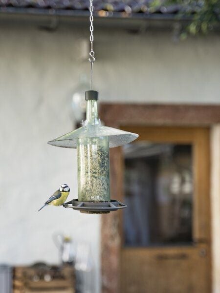 MaBe Vogelfutterstelle + hängeWINDLICHT + WINDLICHT - für den Gartenfreund von MaBe