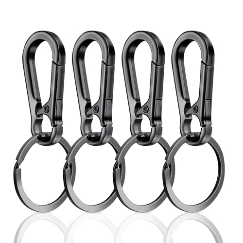 Mabor 4 Stück Schlüsselring Karabiner, Schlüsselringe mit Schnellverschluss Clips Robuster Metall Schlüsselanhänger Zinklegierung Halter Organizer Haken Für Aufhängen im Rucksack, Autoschlüssel von Mabor