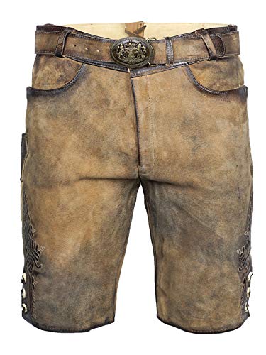 Maddox Lederhose kurz Faelo zirbe antik | Weiches Ziegenvelour-Leder | Kurze Herren-Lederhose mit Reißverschluss und Gürtel | Gute Qualität (DE/NL/SE/PL, Numerisch, 56, Regular, Regular, zirbe antik) von Maddox