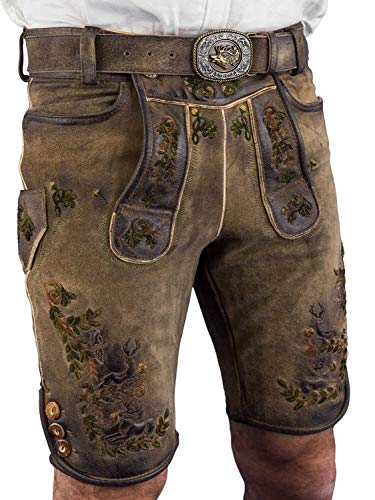Maddox Lederhose kurz Wildbock unsed Eichinger Acker Kernig 48 von Maddox