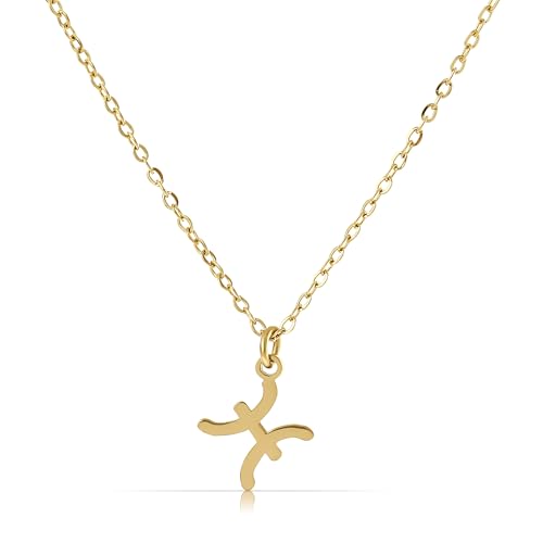 Made by Nami Gold Sternzeichen Halskette Damen aus Chirurgischem Edelstahl 40 + 5 cm Sternzeichen Kette Gold Hypoallergen und Wasserfest Spiritueller Schmuck (Fisch) von Made by Nami