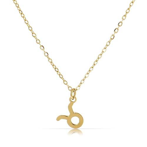 Made by Nami Gold Sternzeichen Halskette Damen aus Chirurgischem Edelstahl 40 + 5 cm Sternzeichen Kette Gold Hypoallergen und Wasserfest Spiritueller Schmuck (Stier) von Made by Nami