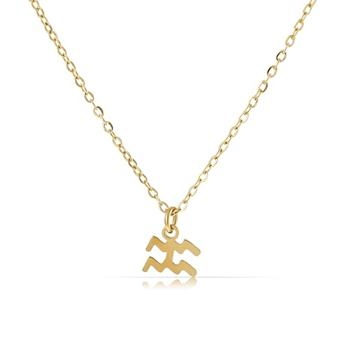 Made by Nami Gold Sternzeichen Halskette Damen aus Chirurgischem Edelstahl 40 + 5 cm Sternzeichen Kette Gold Hypoallergen und Wasserfest Spiritueller Schmuck (Wassermann) von Made by Nami